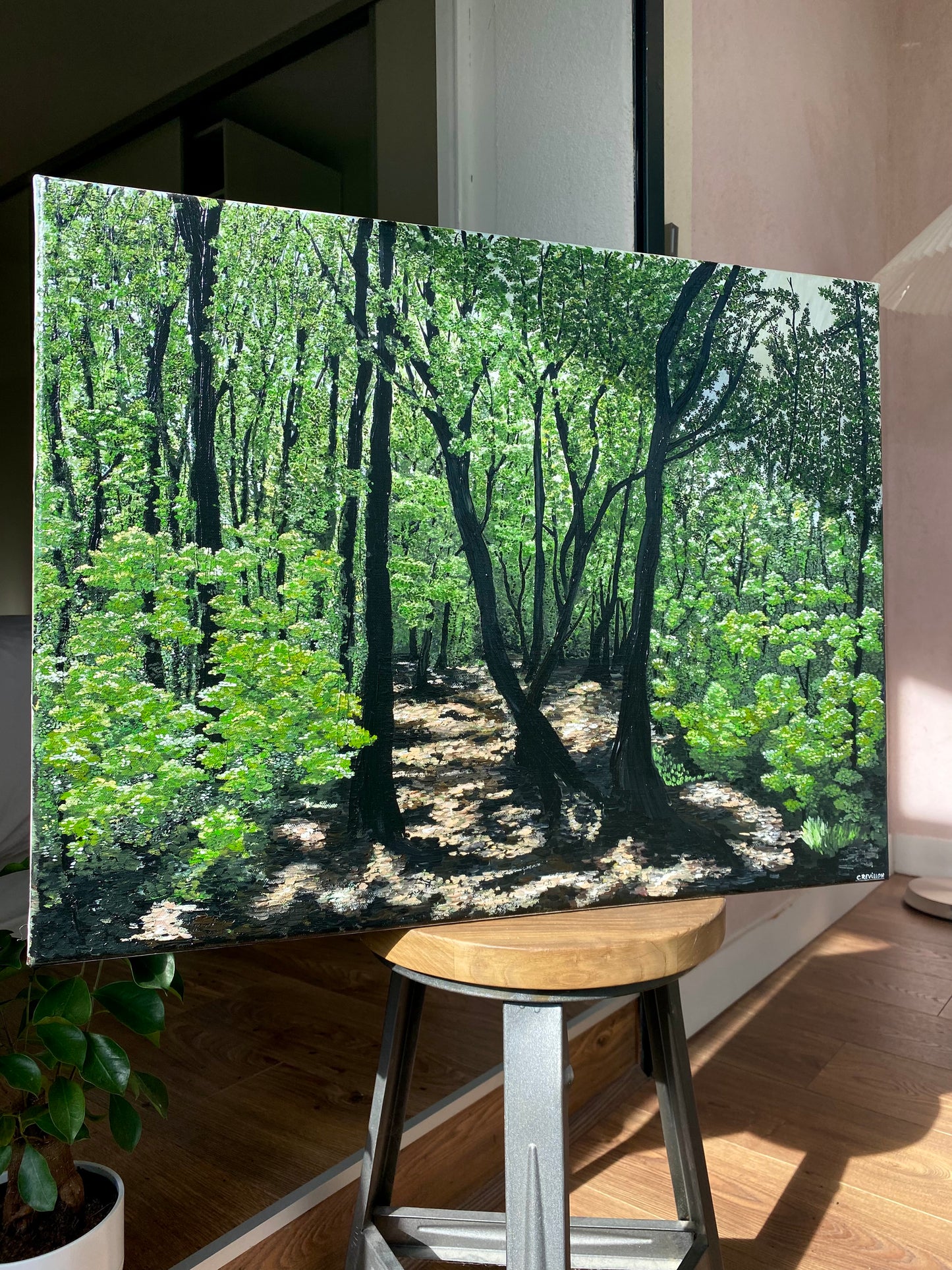 LA FORÊT DE BROCÉLIANDE