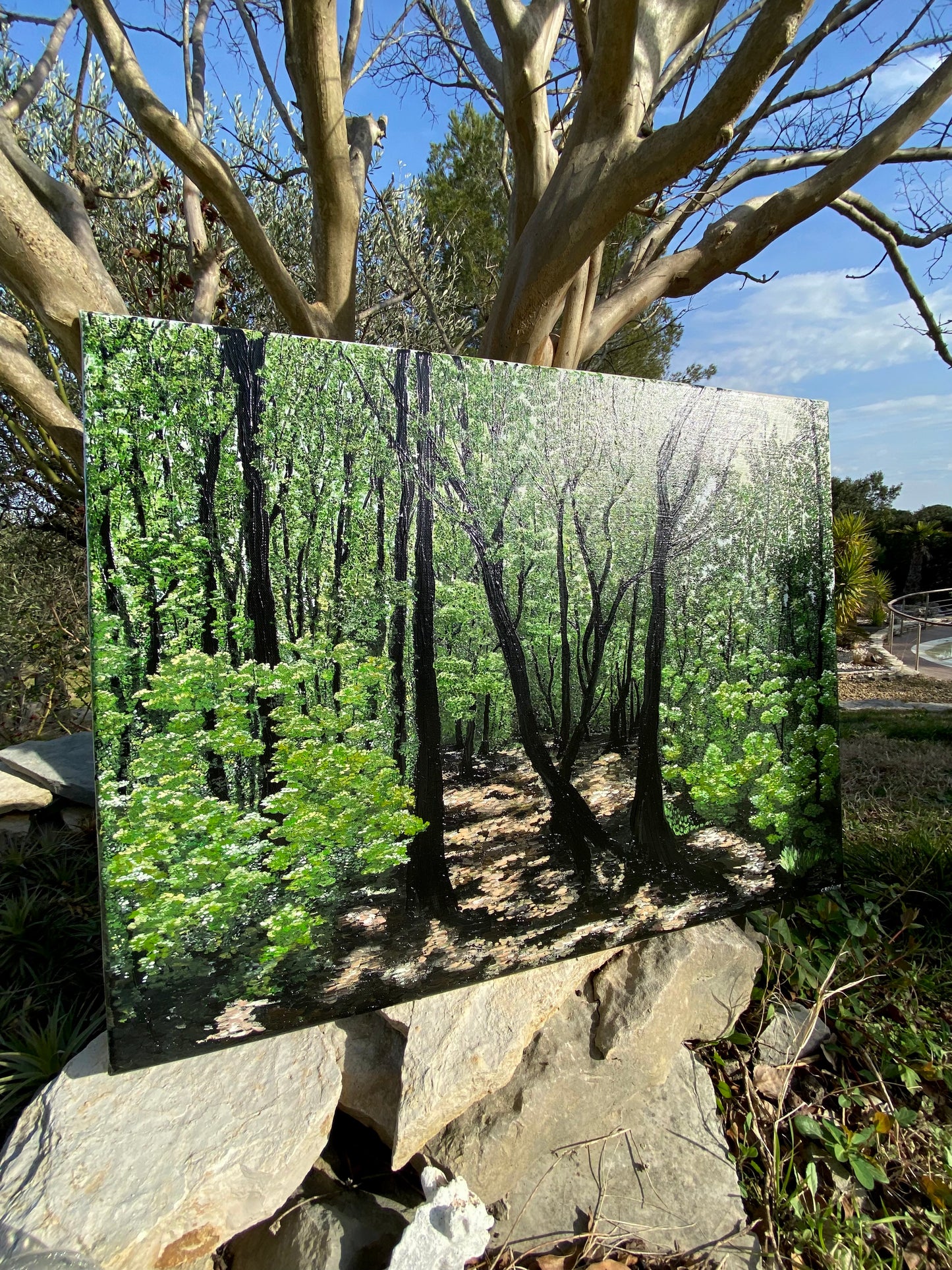 LA FORÊT DE BROCÉLIANDE